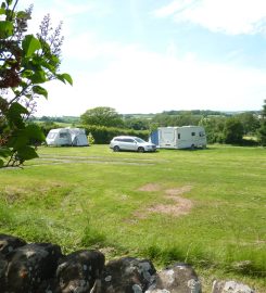Trippenkennett Farm – Campsite, Fishing and Holiday Cottage