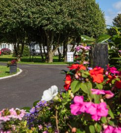 St Agnes Holiday Park