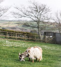 Wooda Farm Holiday Park