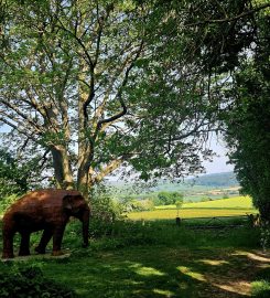 Foxholes Campsite & Cabins Bishops Castle