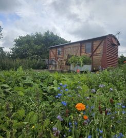 Foxholes Campsite & Cabins Bishops Castle
