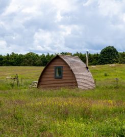 Tranwell Farm Campsite
