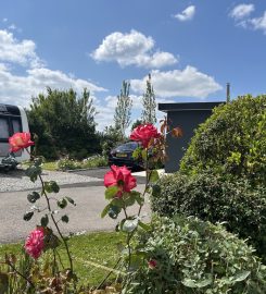 Parkland Caravan, Camping & Glamping Site