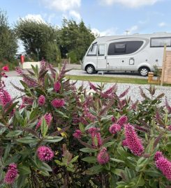 Parkland Caravan, Camping & Glamping Site