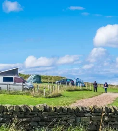 Bay Ness Farm