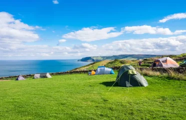 Bay Ness Farm
