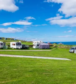 Bay Ness Farm