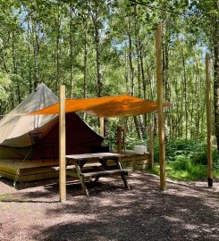 Beech Estate Campsite