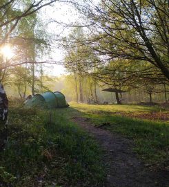 Beech Estate Campsite