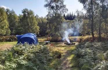 Beech Estate Campsite