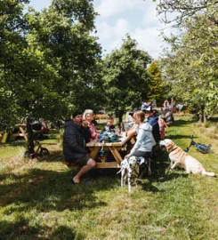 Dorset Nectar Orchard Campsite
