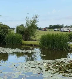Field Farm Fisheries and Campsite