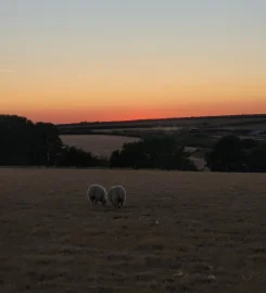 Chapelcombe Farm