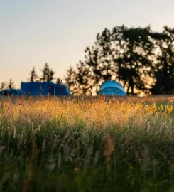 Low Greenside Farm Campsite