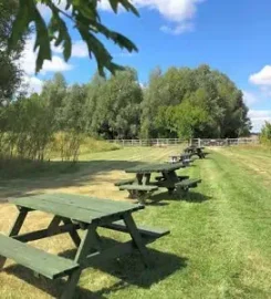 Morelands Copse Camping