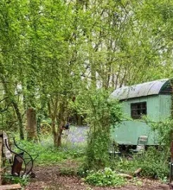 Morelands Copse Camping