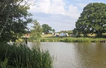 Trippenkennett Farm – Campsite, Fishing and Holiday Cottage