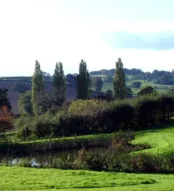 Park Grange Holidays