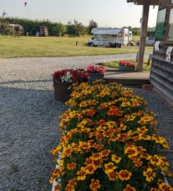 Trippenkennett Farm – Campsite, Fishing and Holiday Cottage