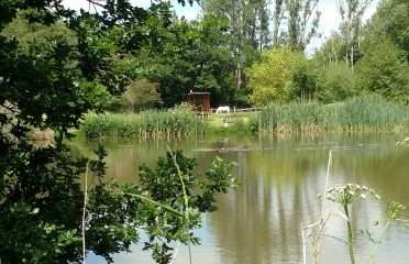The Willows Lakeside Retreat