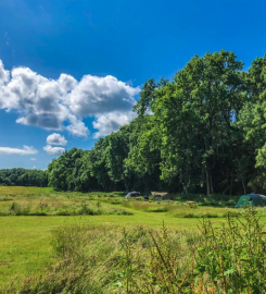 Tranwell Farm Campsite