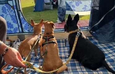 Oakhill Camping and Caravanning Site