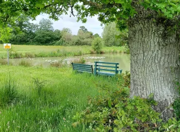 Shaftesbury country touring park