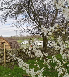 Sizergh Caravan and Camping