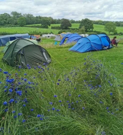 Sizergh Caravan and Camping