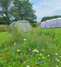 Sizergh Caravan and Camping