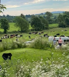 Sizergh Caravan and Camping