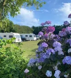 Tremarne Campsite