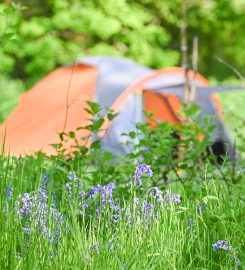 Wray Valley Camping