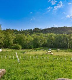 Wray Valley Camping