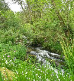 Wray Valley Camping