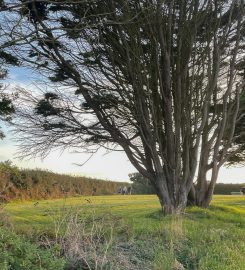 Gunwalloe Caravan Park