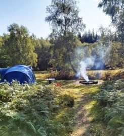 Beech Estate Campsite