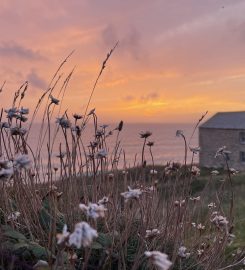Gunwalloe Caravan Park