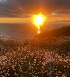 Gunwalloe Caravan Park