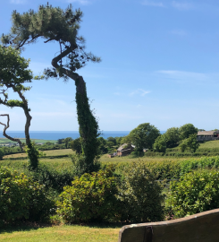 Wooda Farm Holiday Park