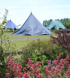 Fourwinds Leisure B&B, Shepherds Huts, Log Cabin,Campsite, SUP, Canoe Hire