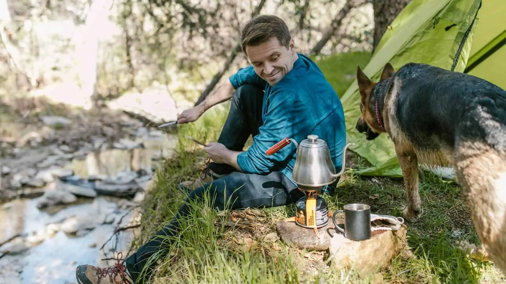 Happy German Shepherd dog by a tent while camping with its owner