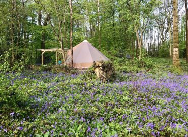 Wild Boar Wood Campsite