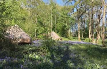 Wild Boar Wood Campsite