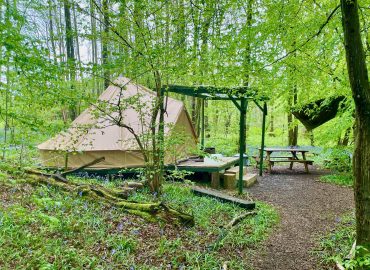 Wild Boar Wood Campsite